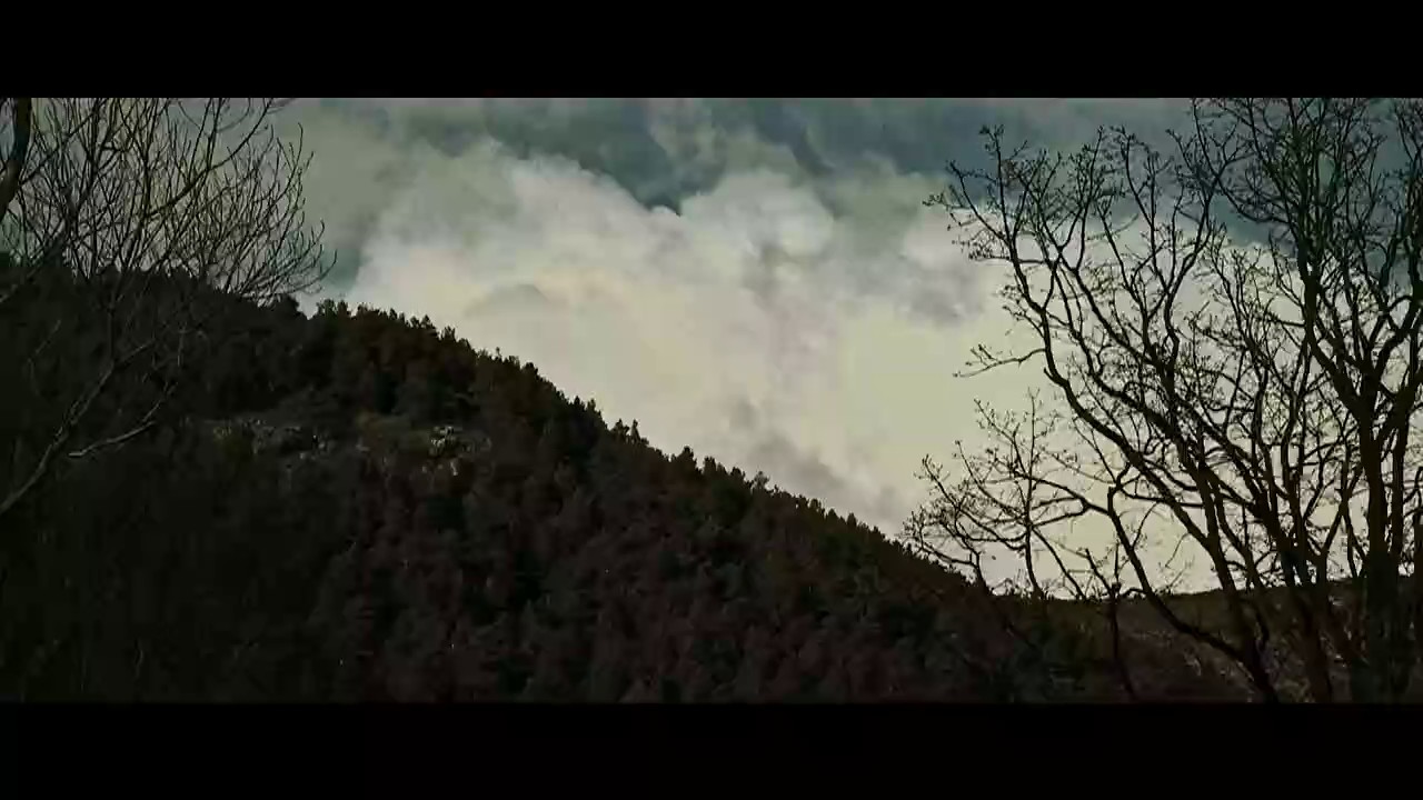 Lady of the Damned Forest (2017) WEB-DL Hindi 720p AVC AAC 2.0.mkv.0001